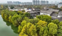 德州侦探调查公司